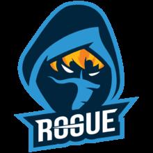Rogue Esports Club 战队